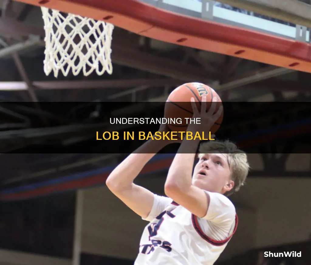 what a lob in basketball