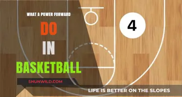 Power Forwards: The Ultimate Basketball Multitaskers