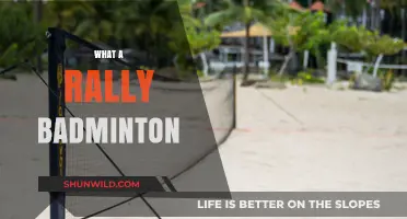 Badminton Rallies: The Art of Sustaining Play