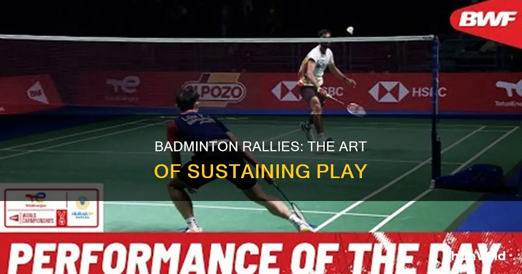what a rally badminton