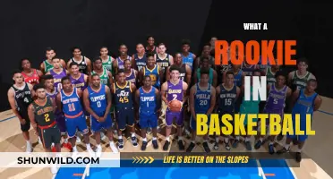 Rookie Basketball: Understanding the Fundamentals