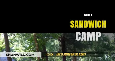 Discover the Fun and Flavor of Sandwich Camp Adventures