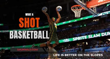 The Art of the Perfect Shot: Unlocking Basketball Excellence