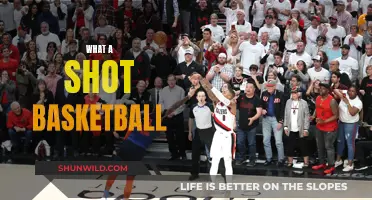 The Art of Shooting Hoops: Mastering the Perfect Basketball Shot