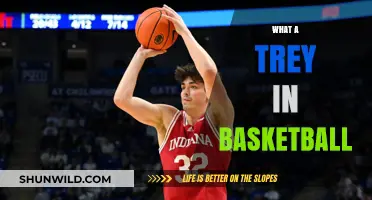 The Trey: Basketball's Ultimate Weapon