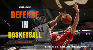 Zone Defense: Understanding Basketball's Strategic Play