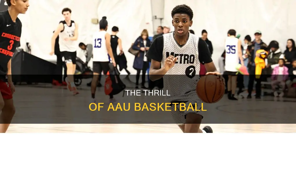 what aau basketball