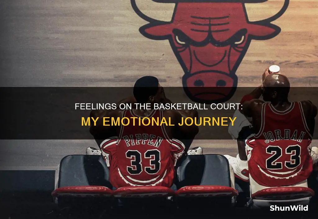 what about my feelings basketball