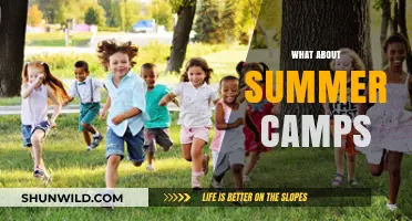 Summer Camps: Fun, Learning, and Adventure for Kids