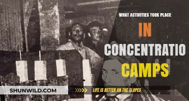 Life and Labor: Daily Activities in Nazi Concentration Camps