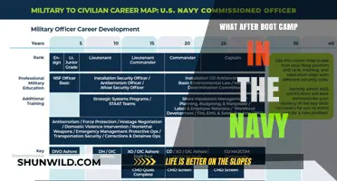 Life After Navy Boot Camp: Next Steps and Career Paths