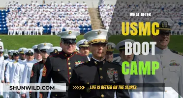 Life After USMC Boot Camp: Navigating Your Military Career Path
