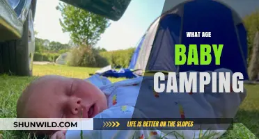 Baby Camping Adventures: Tips for Safe Outdoor Fun at Any Age