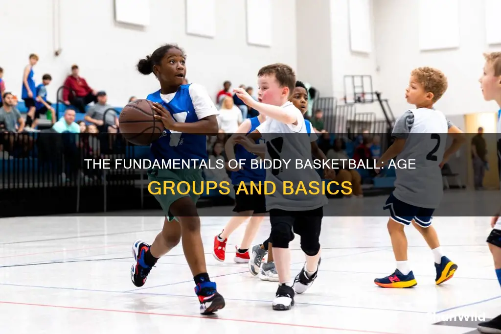 what age is biddy basketball