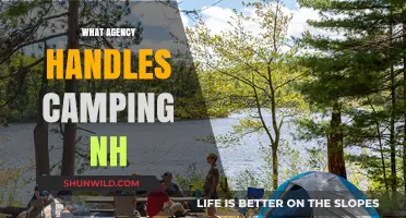 Discover the Agency Managing Camping in New Hampshire: A Guide