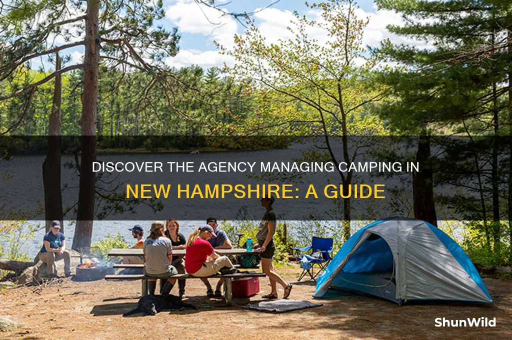 what agency handles camping nh