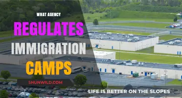 Understanding Immigration Camp Oversight: Which Agency Regulates Detention Facilities?