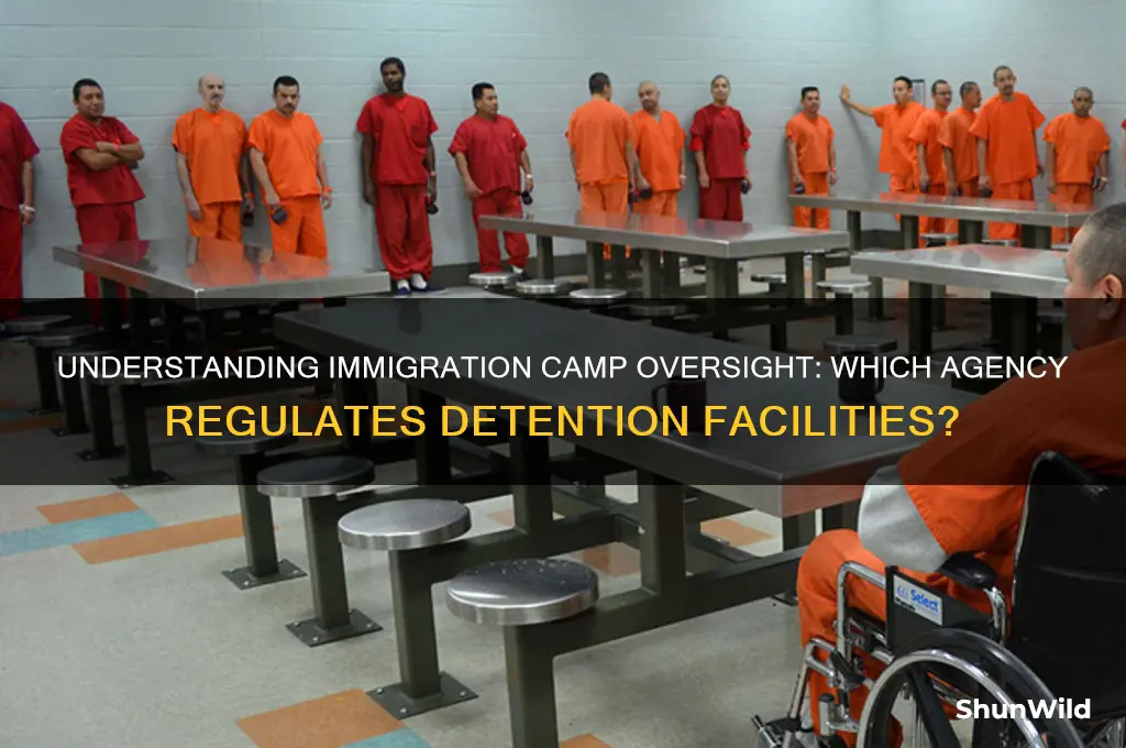 what agency regulates immigration camps