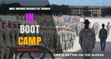 Air Force Boot Camp: Rigorous Training and Transformation for Recruits