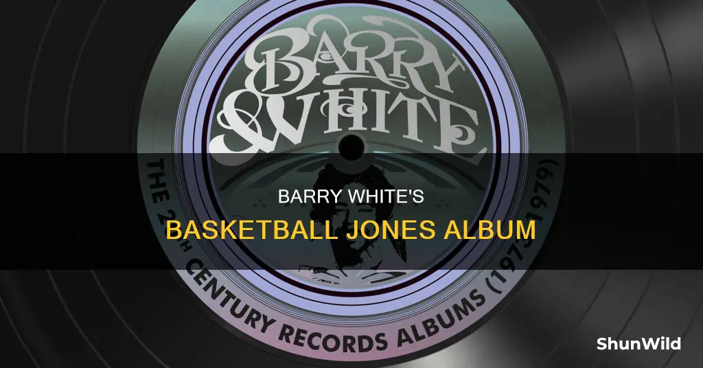 what album does barry white basketball jones come out in
