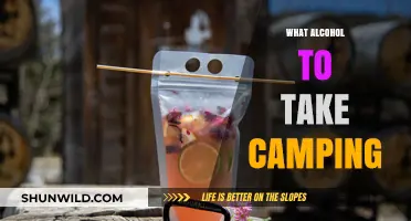 Best Camping Alcohol Guide: Portable Drinks for Outdoor Adventures