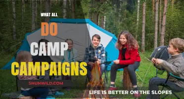 Exploring Camp Campaigns: Strategies, Impact, and Community Engagement