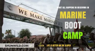 Marine Boot Camp Receiving: Unveiling the Intense Arrival Process