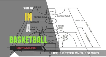 Basketball: Unraveling the Intricacies of the Game