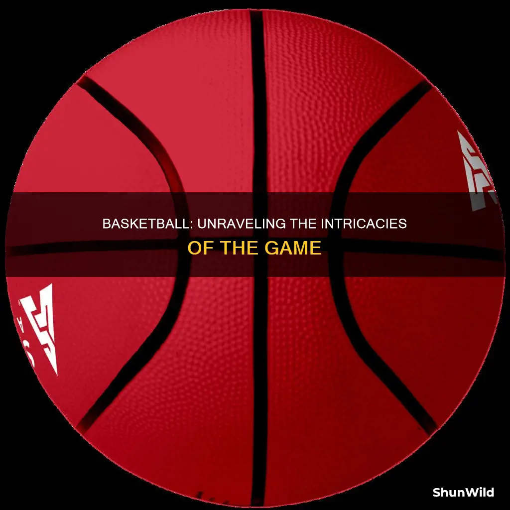 what all in a basketball