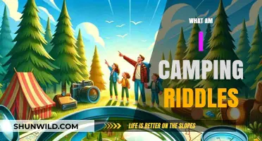 Camping Brainteasers: What Am I? Fun Outdoor Riddle Challenges