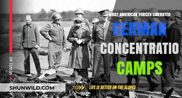 American Forces Liberating German Concentration Camps: A Historical Overview