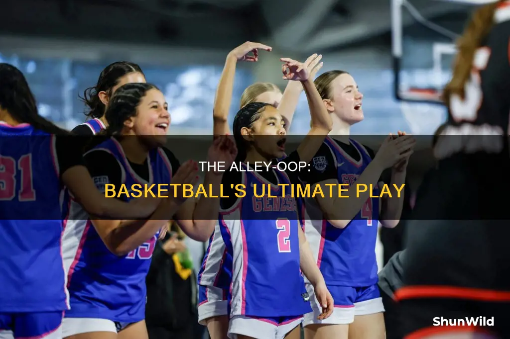 what an alley oop in basketball