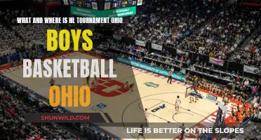 Ohio's HL Tournament: Basketball Boys' Dreams