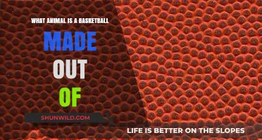 Basketballs: Animal Hide in Sports