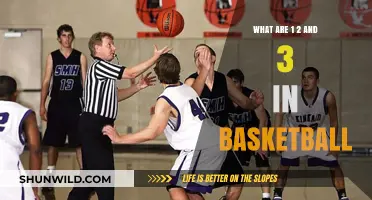 Understanding Basketball's 1-2-3: The Basics of Offense
