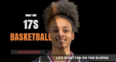 Understanding the Unique World of 17s Basketball