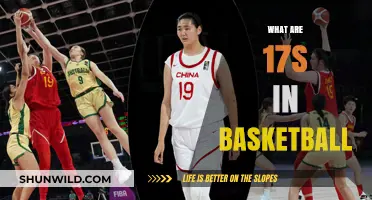 Understanding Basketball's 17-Foot Line: The Sweet Spot