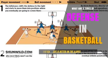 Defense Strategies: Man-to-Man or Zone?