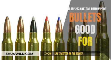 Boat-Tail Bullets: Effective Hollow-Point Ammunition for Hunting