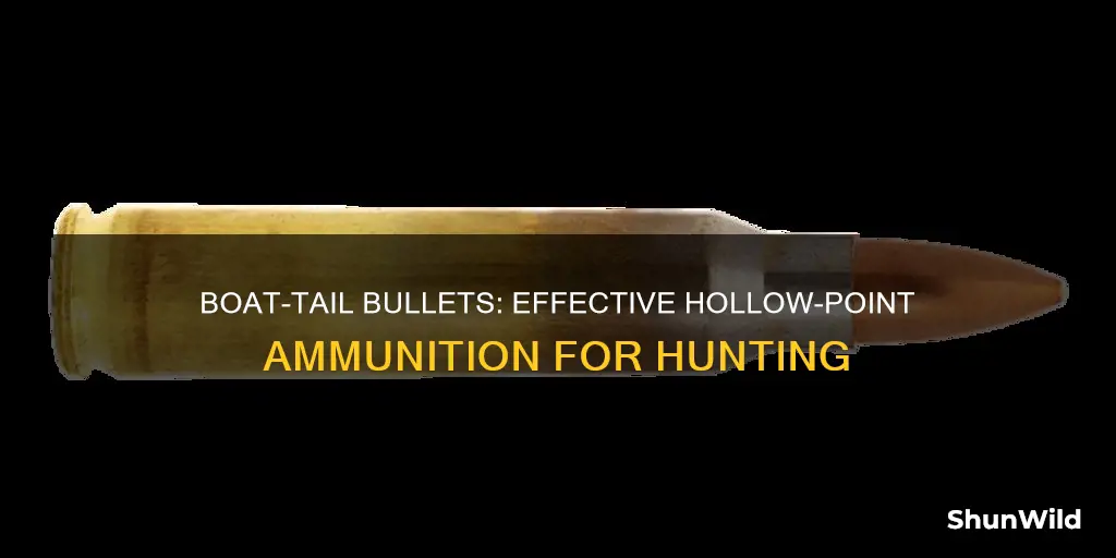 what are 223 boat tail hollow point bullets good for