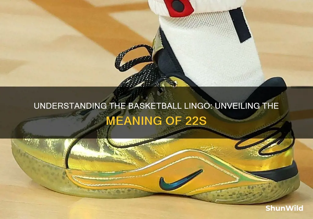 what are 22s in basketball