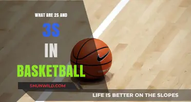 Understanding the Basics: 2s and 3s in Basketball