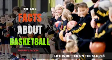 Fascinating Basketball Facts: Rules, Hoops, and Dribbles
