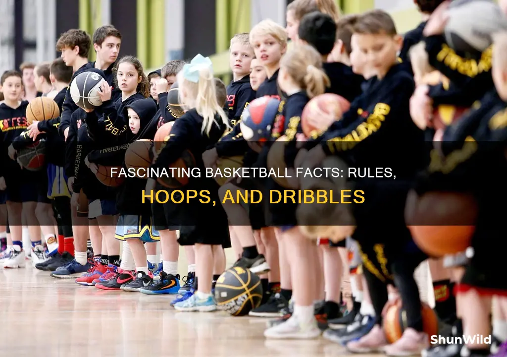 what are 3 facts about basketball