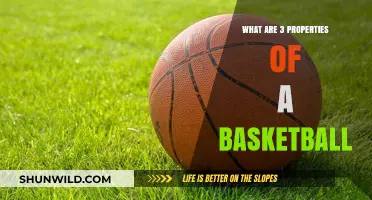 Properties of a Basketball: Bounce, Grip, and Weight