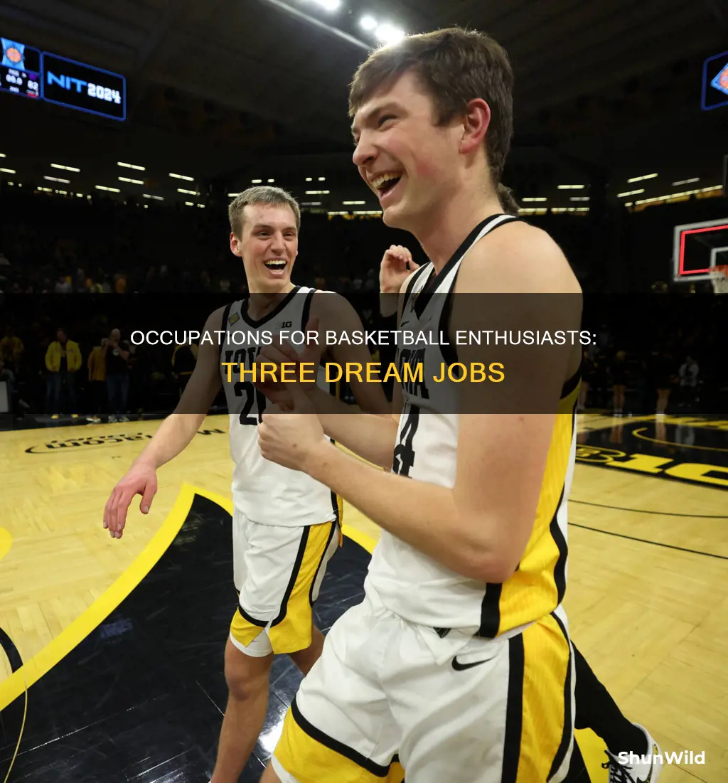 what are 3 related occupations to basketball