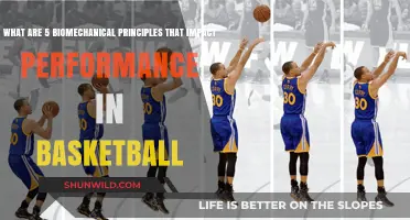 Biomechanics Principles for Better Basketball Performance