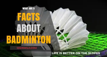 Badminton Basics: 5 Surprising Facts