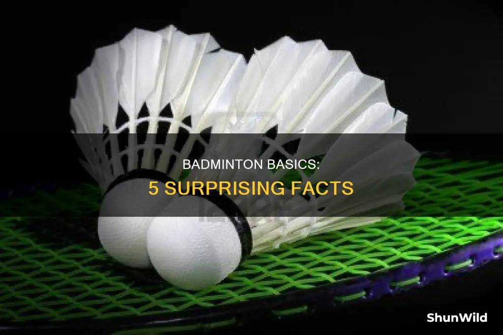 what are 5 facts about badminton