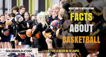 Basketball Surprises: 5 Intriguing Facts